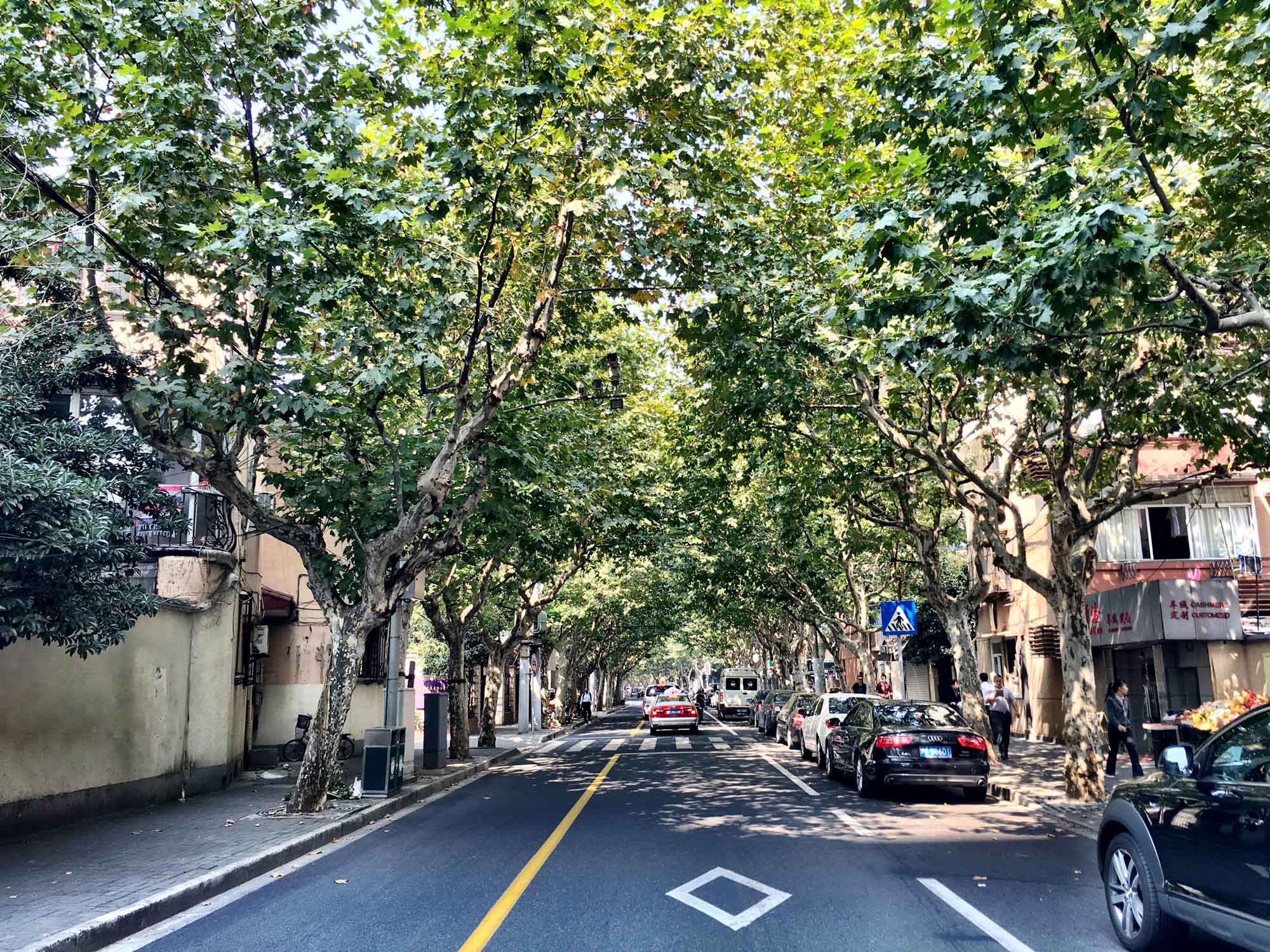 Former French Concession