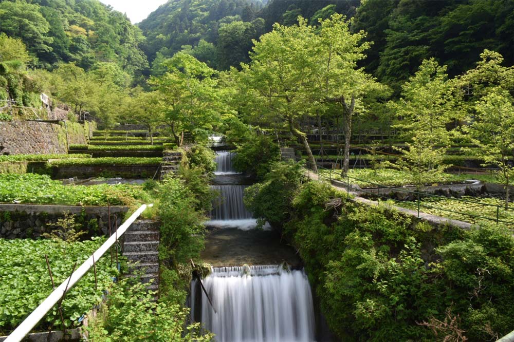 Kawazu Nanadaru Waterfalls